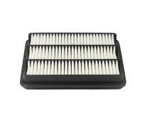 ������ ��������� BIG FILTER GB-9507