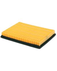 ������ ��������� BIG FILTER GB-9543