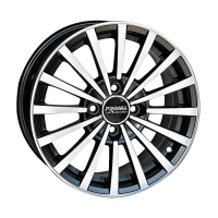 ����� Proma RS2 �����-�������