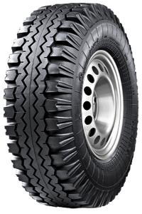 ���� Forward �-245