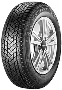 ���� GT Radial WinterPro 2