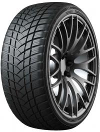 ���� GT Radial WinterPro 2 Sport