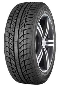 ���� GT Radial Champiro Winter Pro