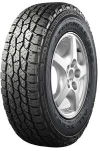 ���� Triangle TR292