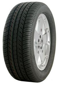 ���� Tri Ace Steady-33